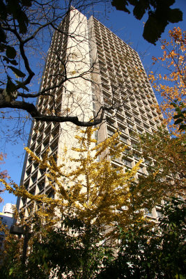 505 LaGuardia Place with Ginkgo Tree Foliage