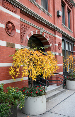 NYU's Washington Square East Galleries