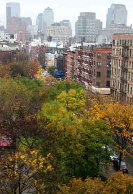 LaGuardia Place & Skyline