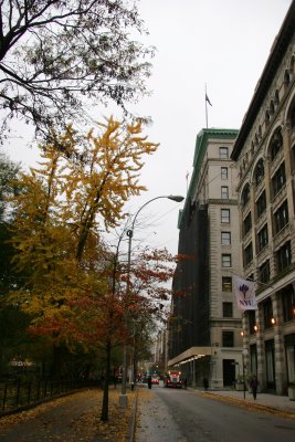 Washington Square East