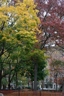 Park View - Washington Square North