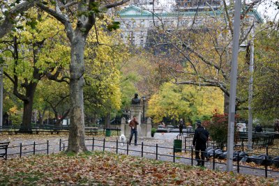 Park View - Eastern Horizon