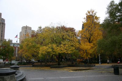 Park View - Northeastern Horizon