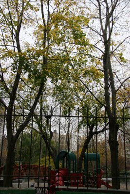 Playground & Garden View