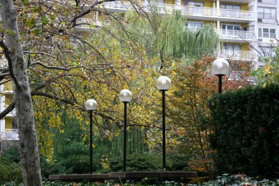 Garden View - Mulberry, Dogwood, Willow & Pine Foliage