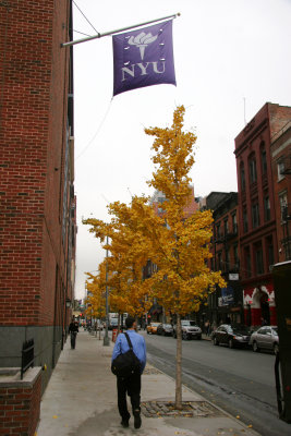 NYU Law School Building