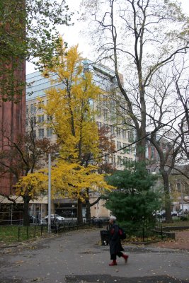 Park View - NYU Student Center