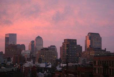 Rose Sunrise - Downtown Manhattan