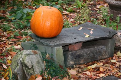Pumpkin on a Stone Bench