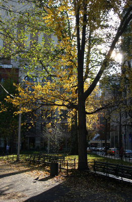 NYU Paulette Goddard Residence Hall