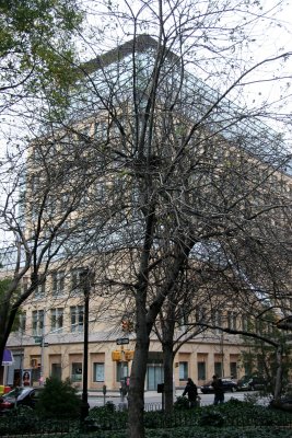 Apple Tree & NYU Student Center