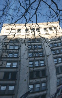 NYU Business School - SUV Window Reflection