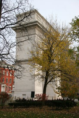 Arch & Siberian Elm Tree