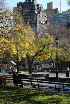 Northeast View - Scholar Tree & U.S. Flags