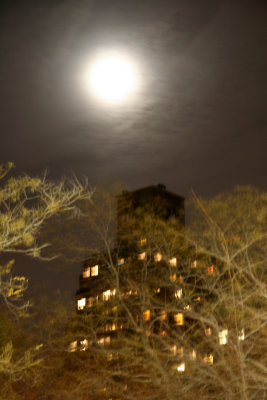 Full Moon at One University Place