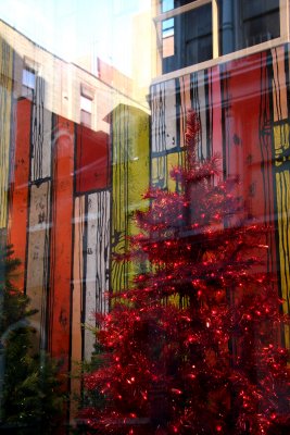 Clothing Store Window