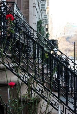 December Red Roses by a Stoop