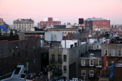 Rose Sunrise - West Greenwich Village