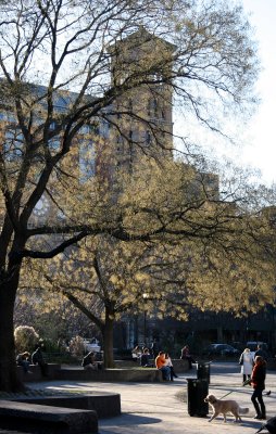 Fountain Plaza & Judson Church