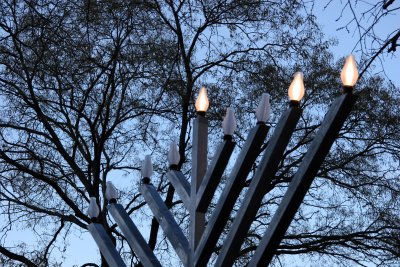 Menorah on the 3rd Day of Hanukkah & a Scholar Tree Top