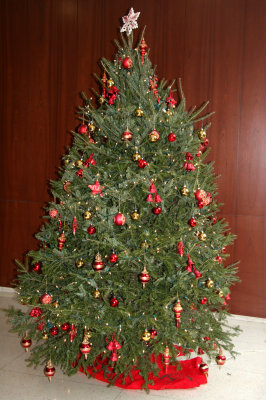 Christmas Tree - NYU Residence Lobby