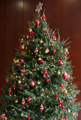 Christmas Tree - NYU Residence Lobby