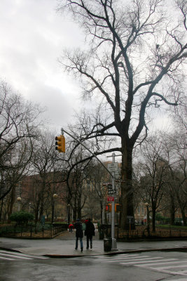 Northwest Corner with Hangman's Tree View