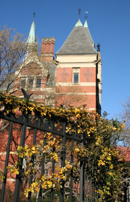 Library & East Garden Fence