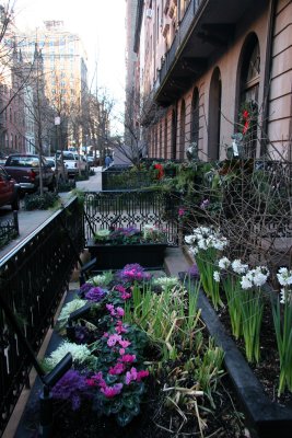 Sidewalk Gardens