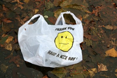 'Have a Nice Day' Bag in a Puddle