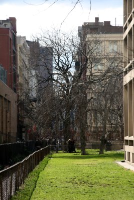 NYU Silver Tower Garden - Entrance to West Houston & Greene Street