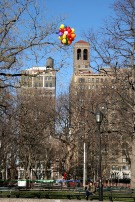 Remnents of New Year's Eve - Balloons in a Scholar Tree