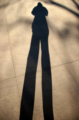 My Shadow at NYU Silver Towers Plaza
