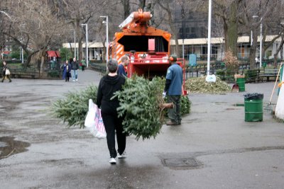 Carrying the Tree for Mulching