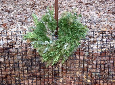 Wreath at the Compost Pile
