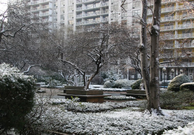 Winter 2006 - Washington Square Village Gardens