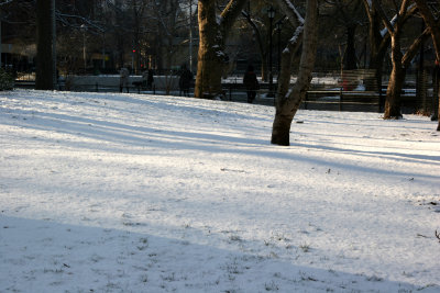 Snow Field - South View