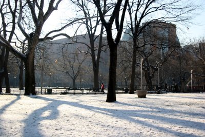 Snow Field, Tree Stand & NYU Buildings