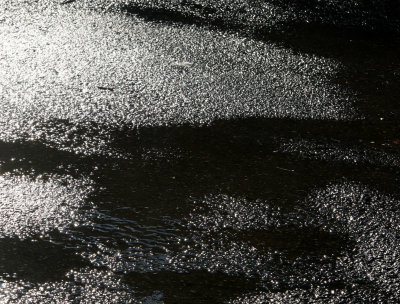 Sunlight on Melted Snow Walkway