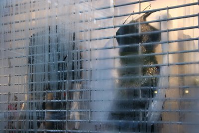 Atrium Clothing Store Window with Condensation