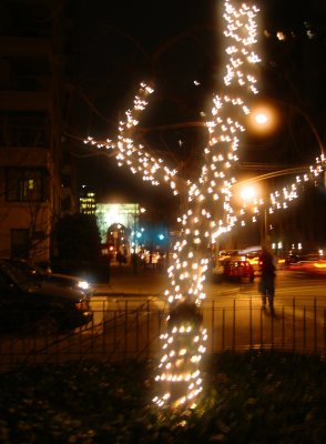 Downtown View at Night