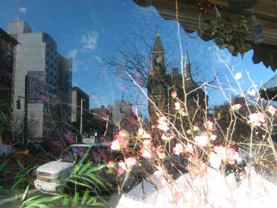 Florist Shop Window Reflections - Peach Tree Blossoms, Jefferson Market Courthouse & Empire State Building