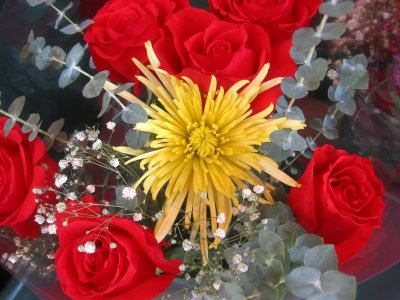 Florist Shop Bouquet at Key Food Market - Yellow Chrysanthemum, Red Roses & Baby Breath