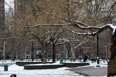 Snow on Tree Branches