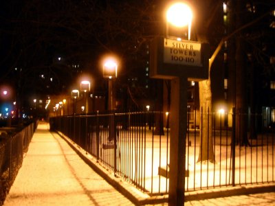 NYU Silver Towers Garden at Night