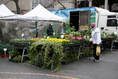 Flower Market Stand