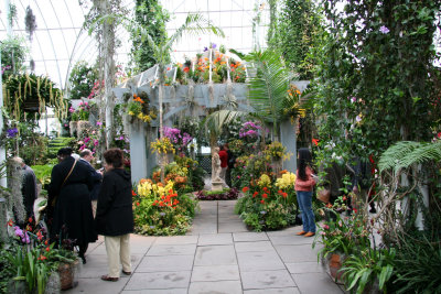 Orchid Show