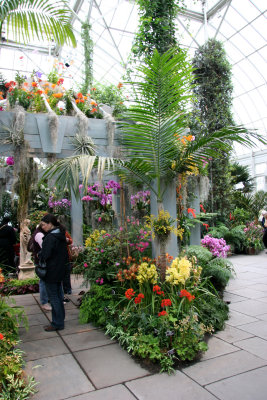 Orchid Show