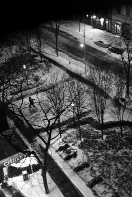 Night Snow - Garden View