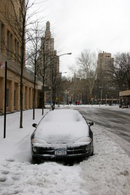 More March Snow